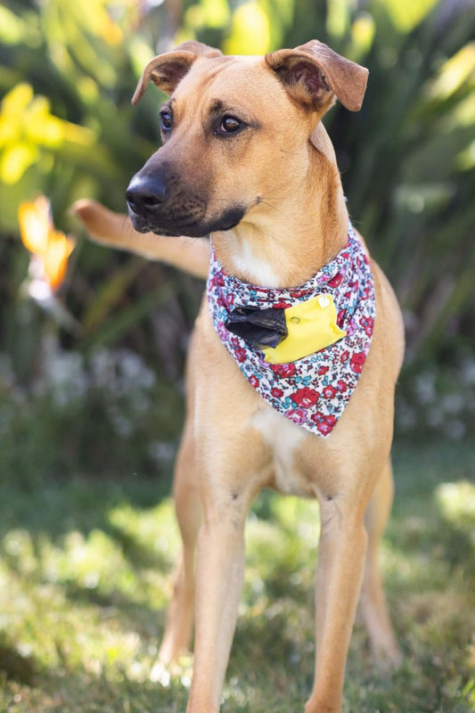 Newest invention handmade Luxury Dog Bandanas with a front pocket for poopy bags - Bandanas by Fenja - Bandanas by Fenja